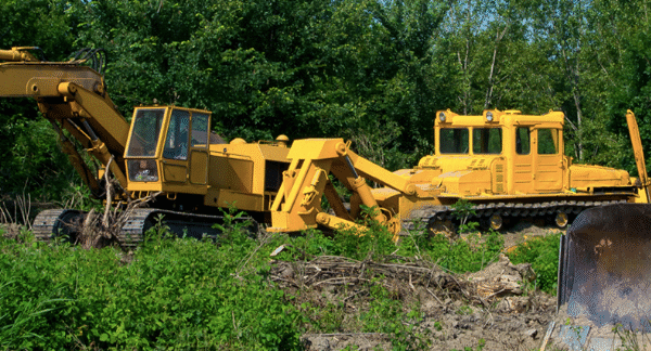 Professional Brush and Tree Clearing in Stanton TX