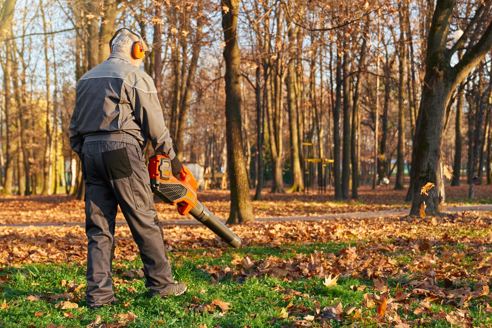 Expert Land Clearing Services in Greenwood TX